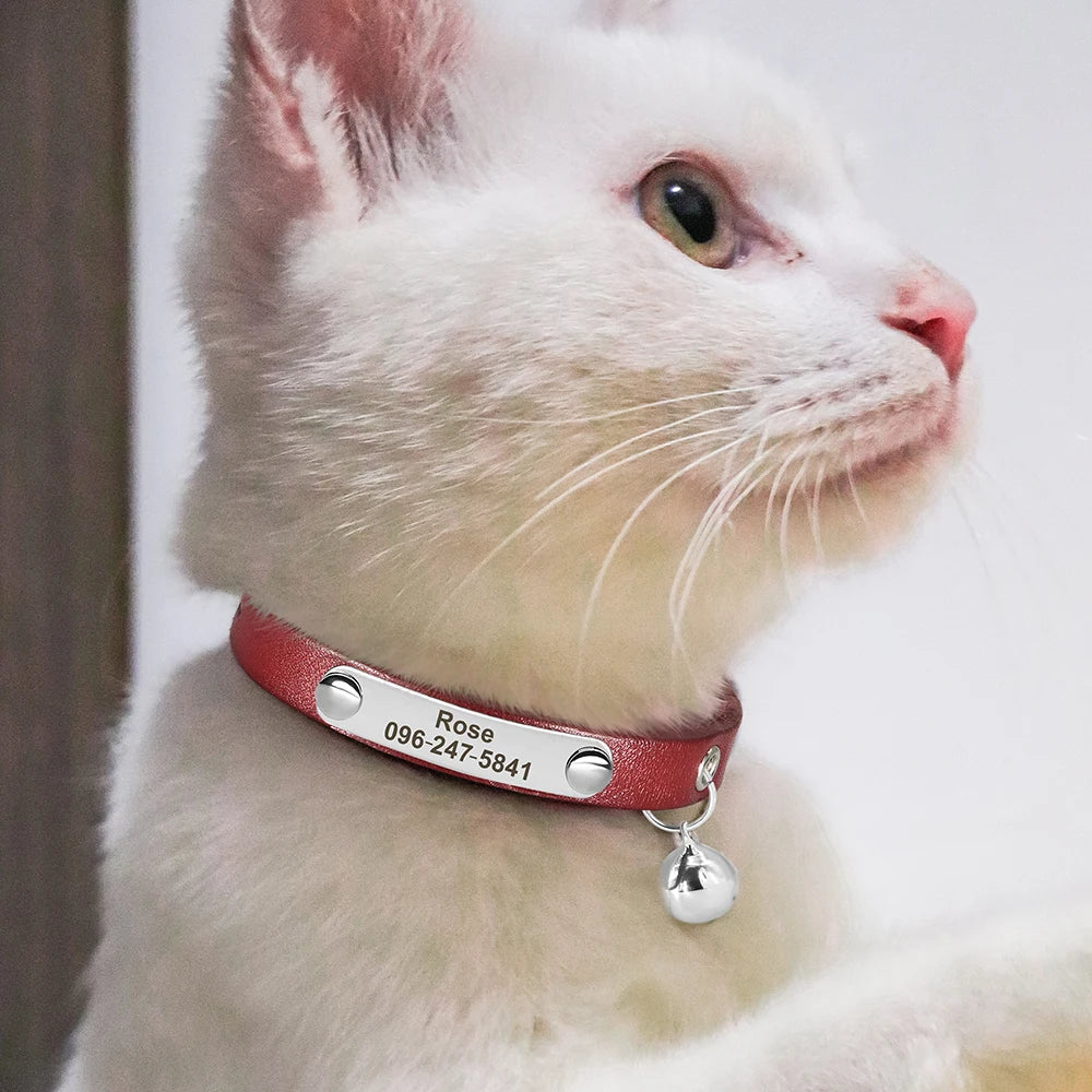 Anti-Lost Personalized Adjustable Leather Cat Collar