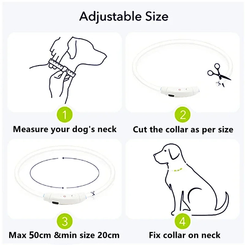 LED Light Dog Collar with Detachable USB Rechargeable Glowing Collar