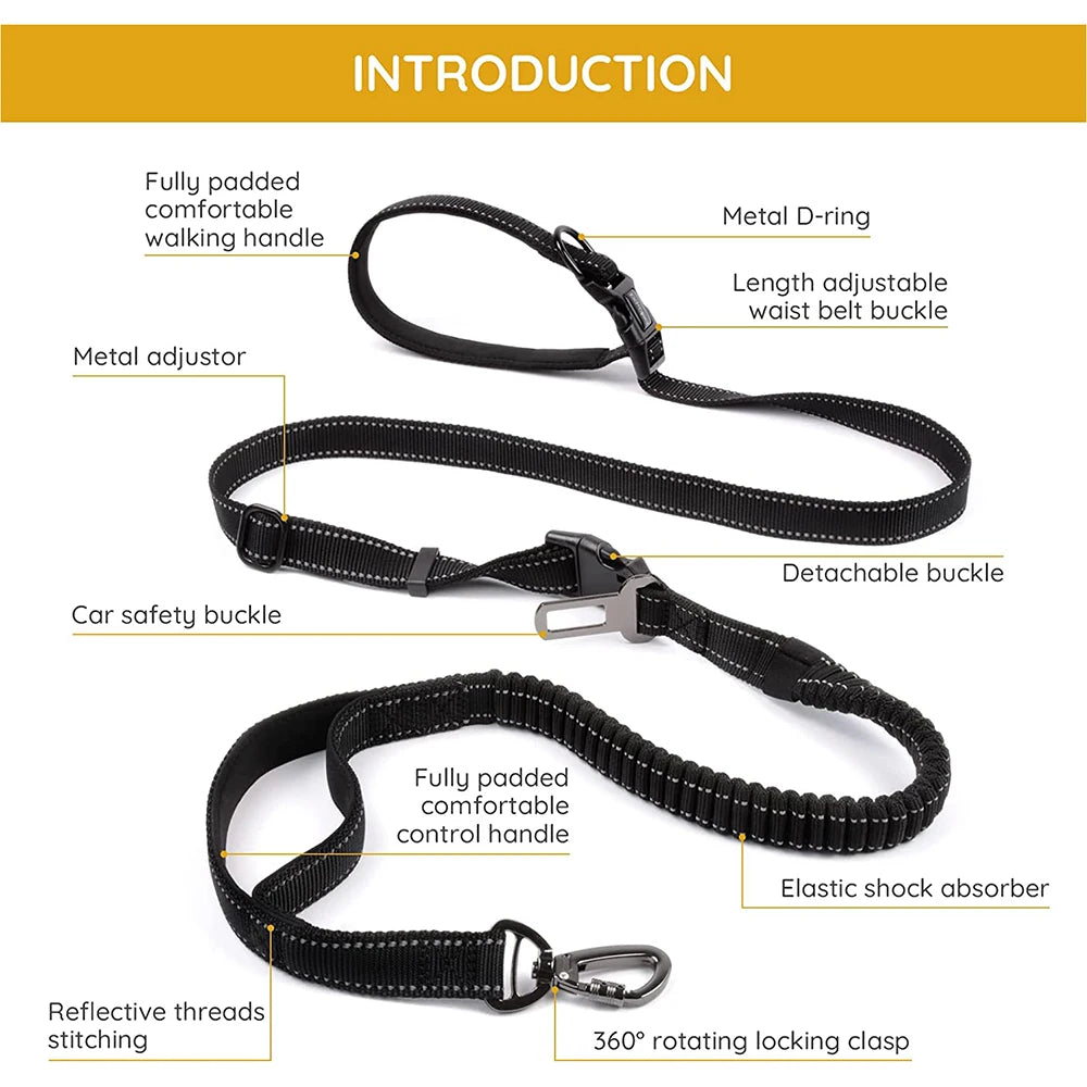 6-in-1 8ft Adjustable Bungee Waist Hands-Free Dog Leash