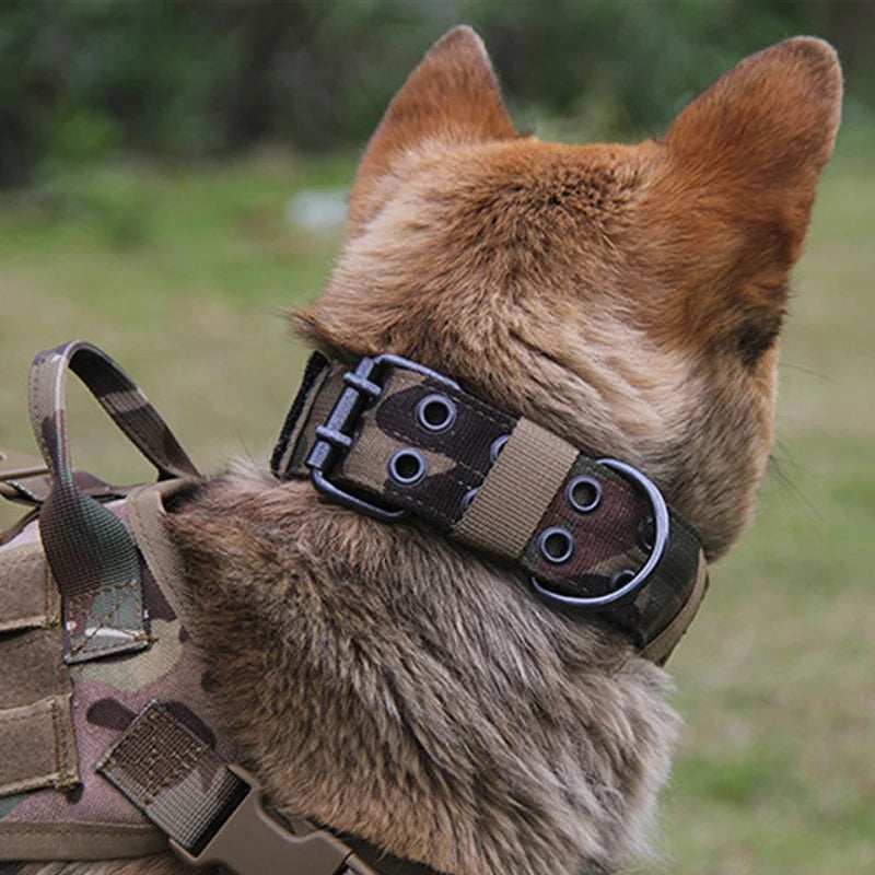 Heavy-Duty Nylon Training Adjustable Reflective Tactical Dog Collar