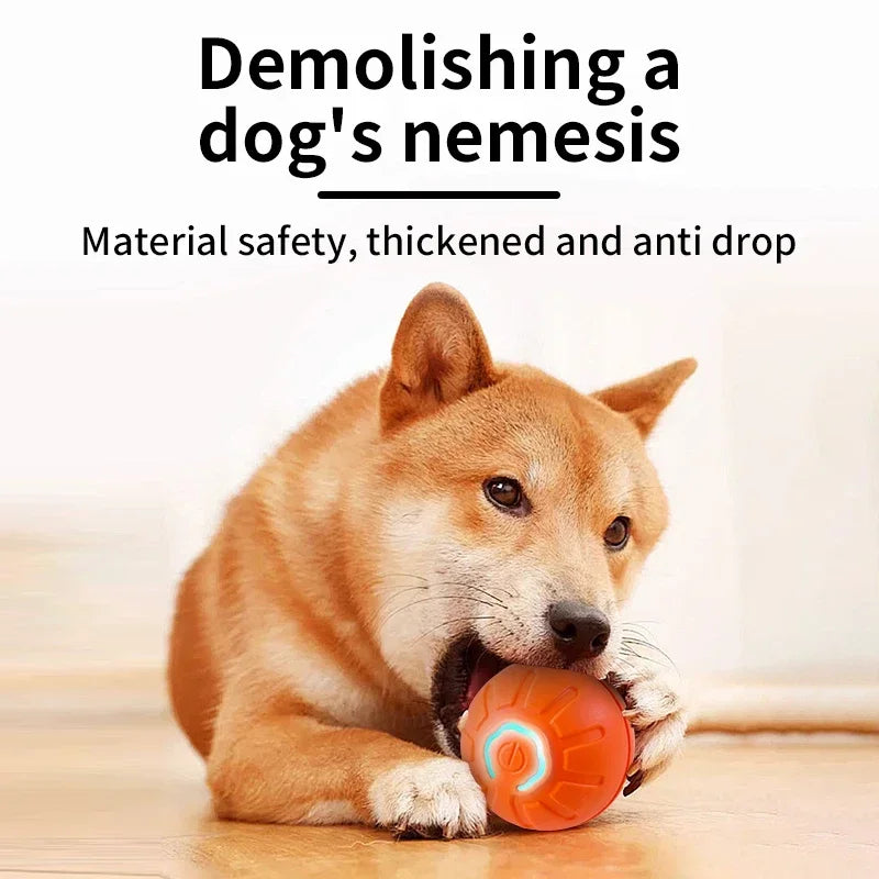 Smart Interactive Pet Toy USB Bouncing Toy for Dogs & Cats