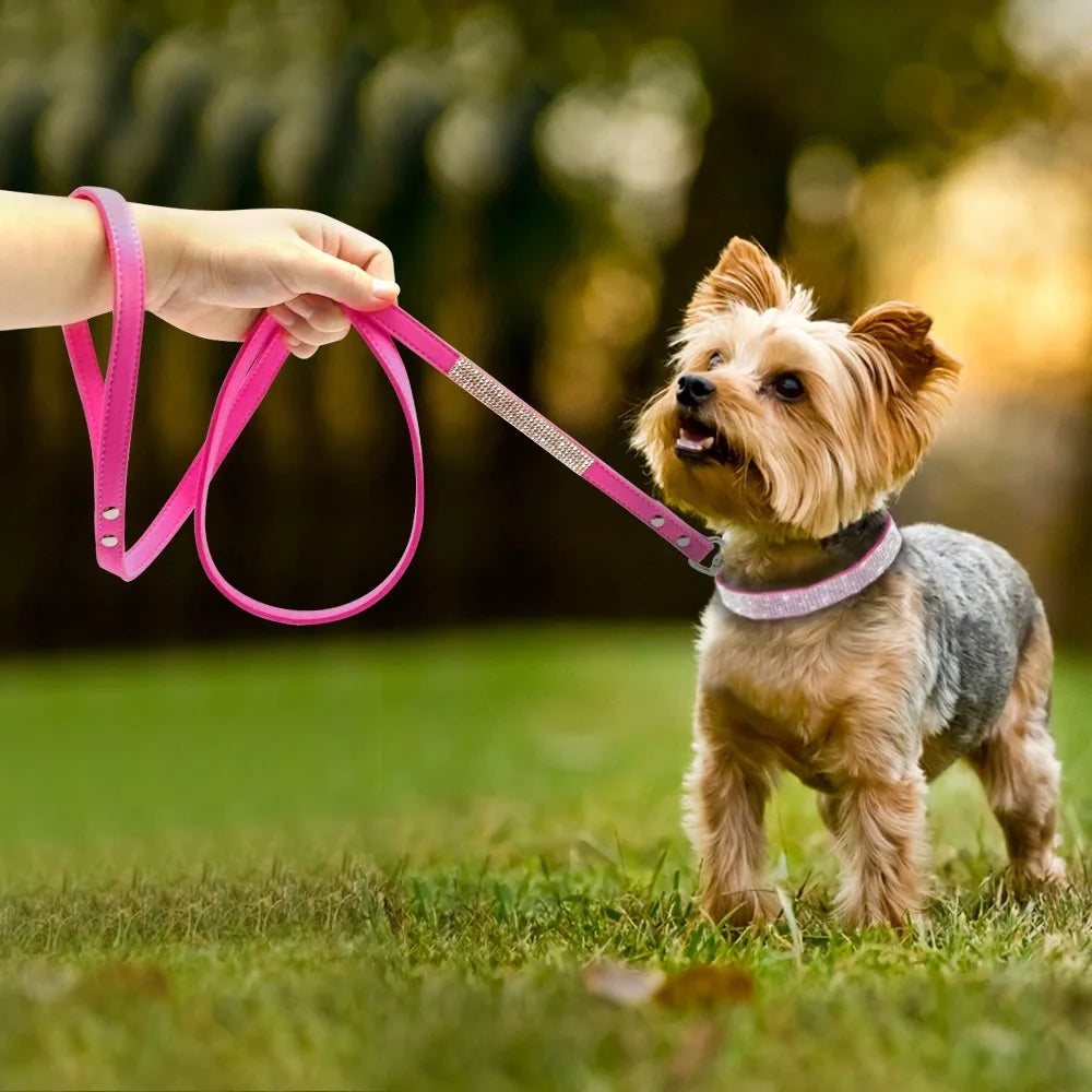 Luxury Rhinestone Dog Collar and Leash Set