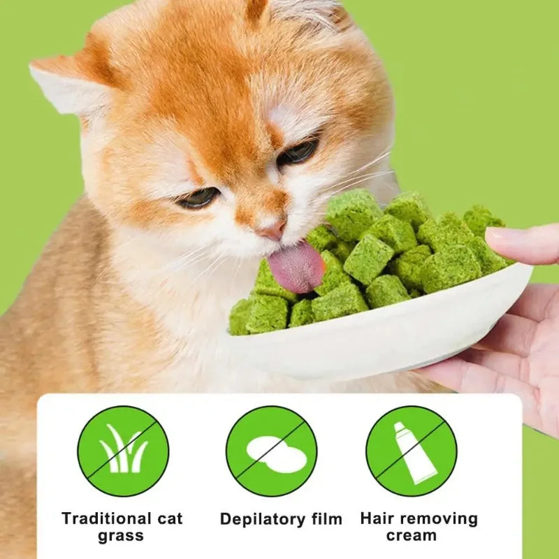 Teething Snacks Freeze-Dried Cat Grass Treats