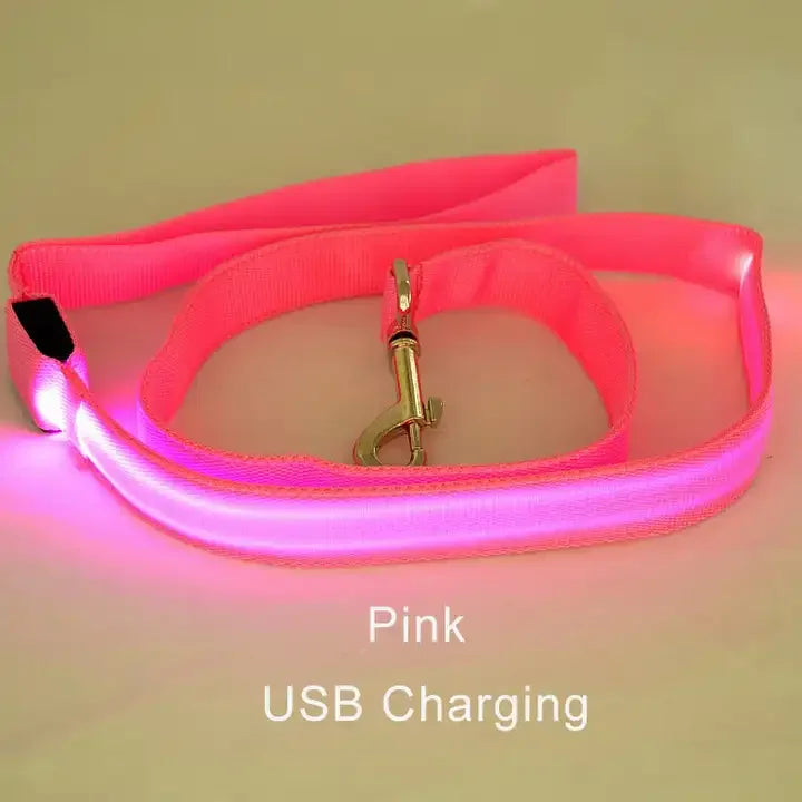 Luminous Flashing Rope Lead LED Light-Up Dog Leash