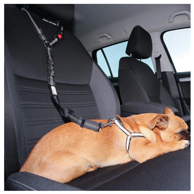 2-in-1 Adjustable Dog Harness Leash & Car Seat Belt