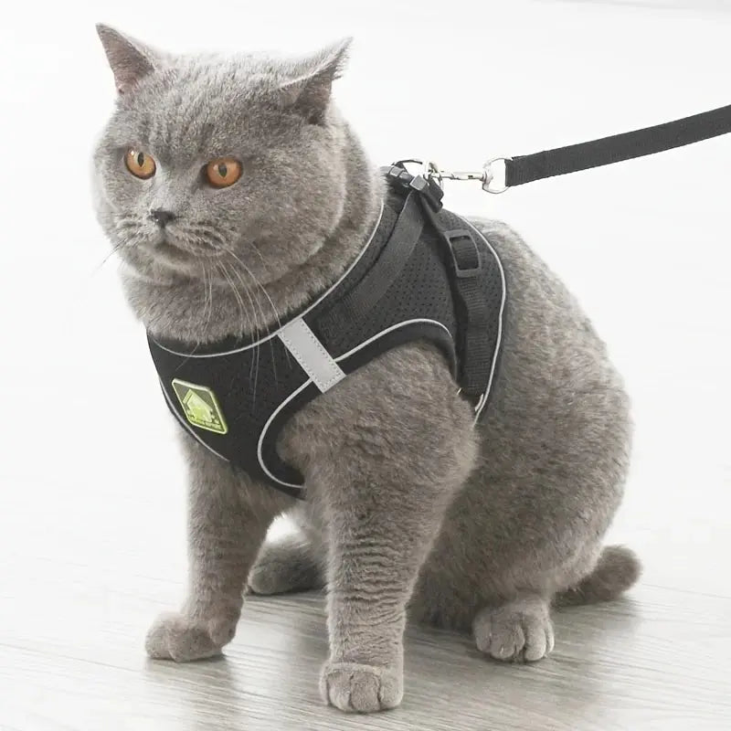 Reflective Pet Harness & Leash Set No-Pull Vest with Breathable Mesh