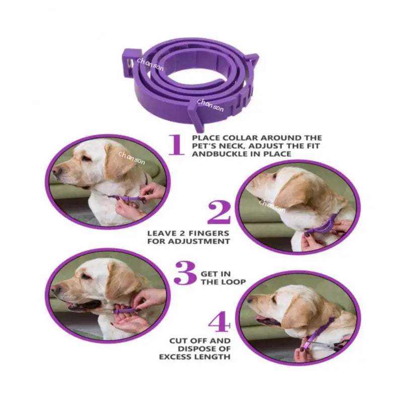 Natural Anxiety Adjustable Calming Collar for Cats & Dogs