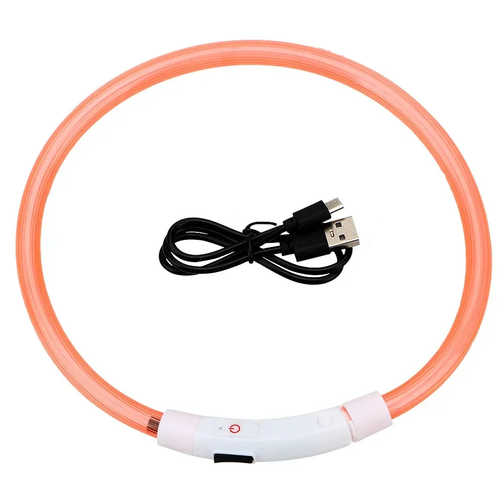 LED Light Dog Collar with Detachable USB Rechargeable Glowing Collar