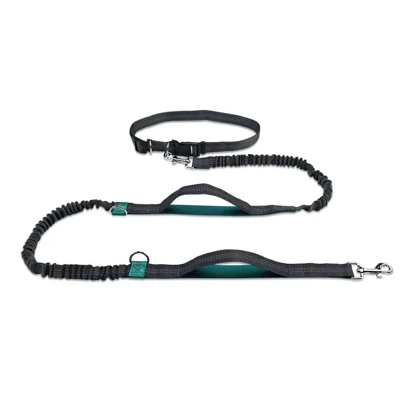 Extendable Pet Leash Dual Head with LED Light for Dogs & Cats
