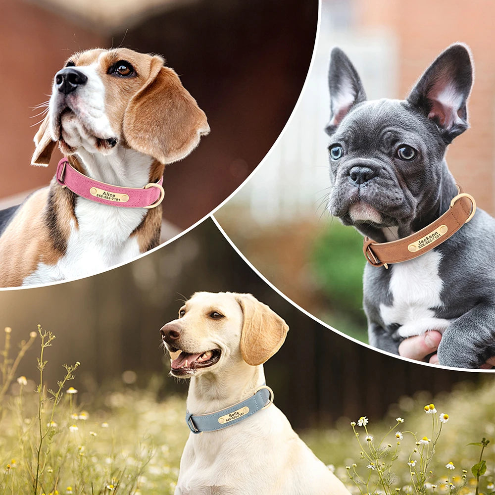 Personalized Custom Engraved PU Leather Dog Collar