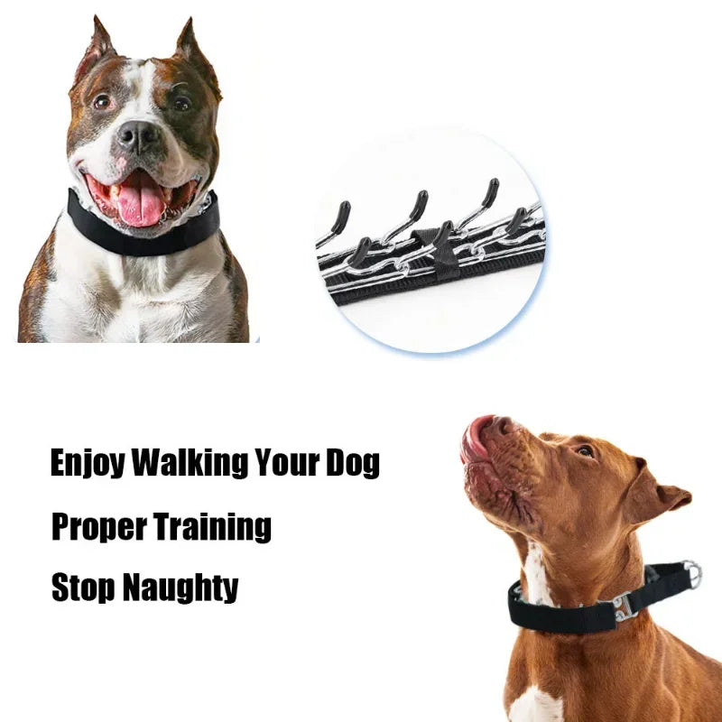 Adjustable Pinch Dog Prong Training Collar