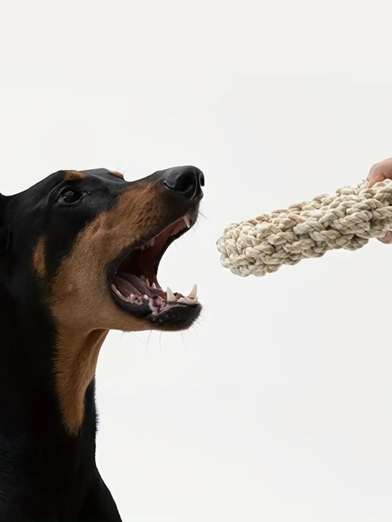 Durable Dog Rope Chew Toy Bite-Resistant for Medium & Large Breeds