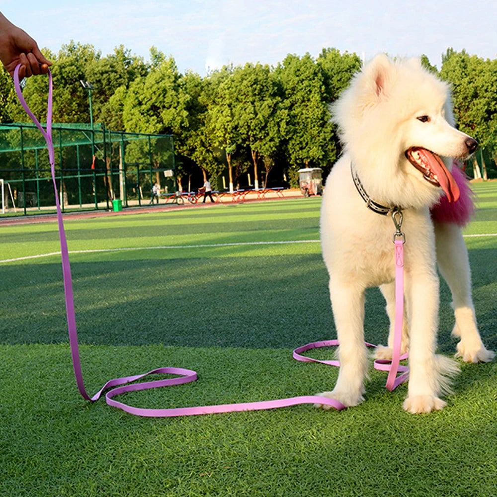 Long PVC Dog Leash for Outdoor Walking & Training
