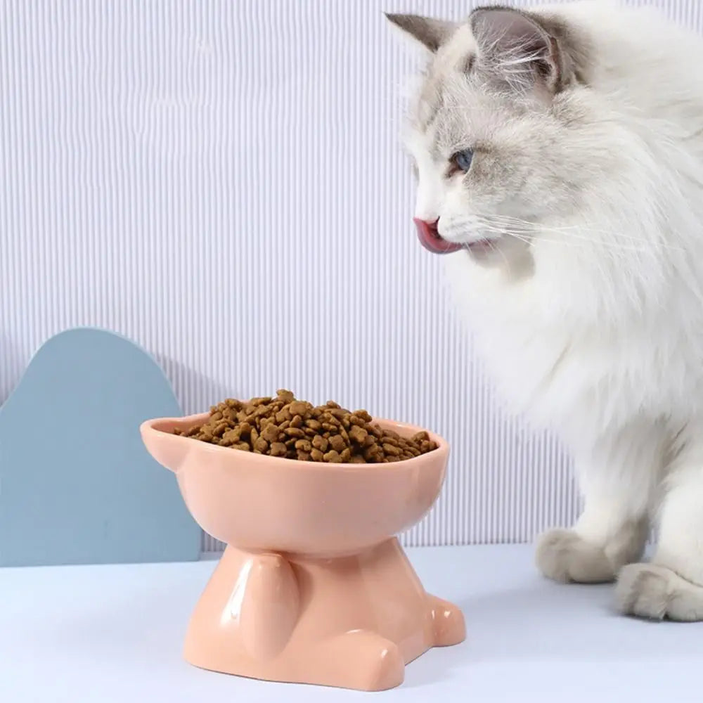 Cute Cat Bowl with High Feet Cervical Spine Protection for Pets