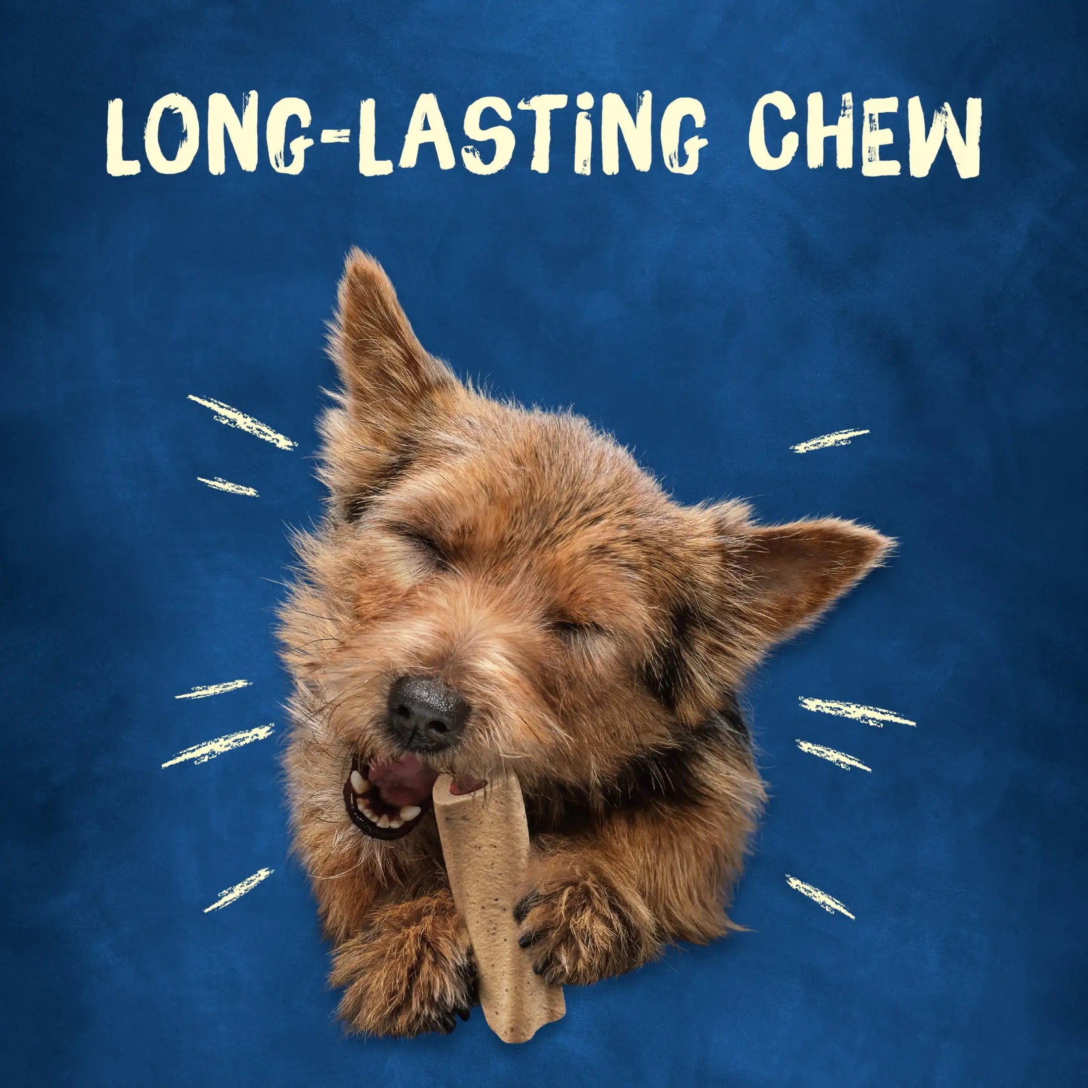 Purina 15-30 lbs Dog Treats with Real Pork, Long-Lasting Chews, 35 oz Pouch (20 Count)