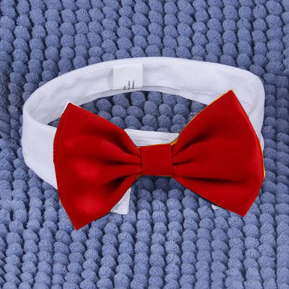 Tuxedo Neck Tie Adjustable Formal Pet Bowtie Collar