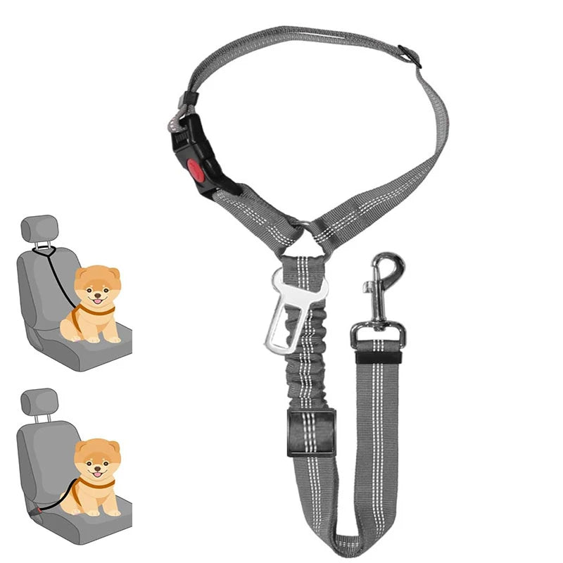 Multi-Functional Dog Leash with Car Safety Buckle
