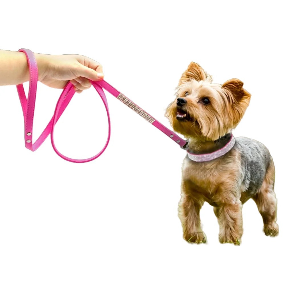 Luxury Rhinestone Dog Collar and Leash Set