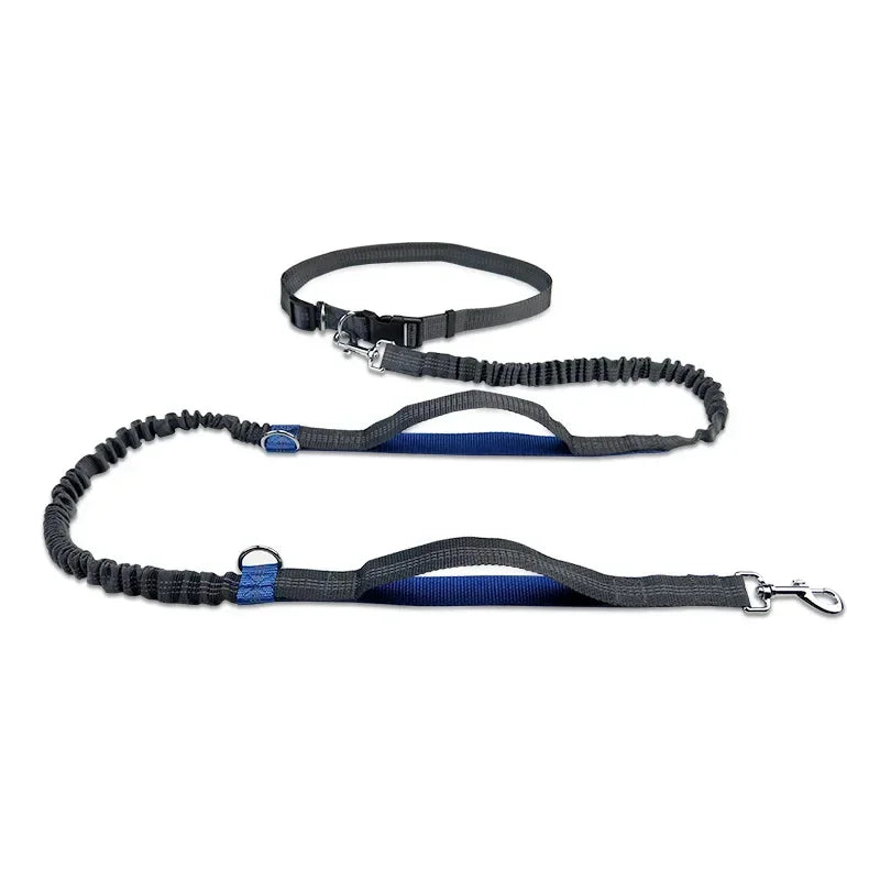 Extendable Pet Leash Dual Head with LED Light for Dogs & Cats