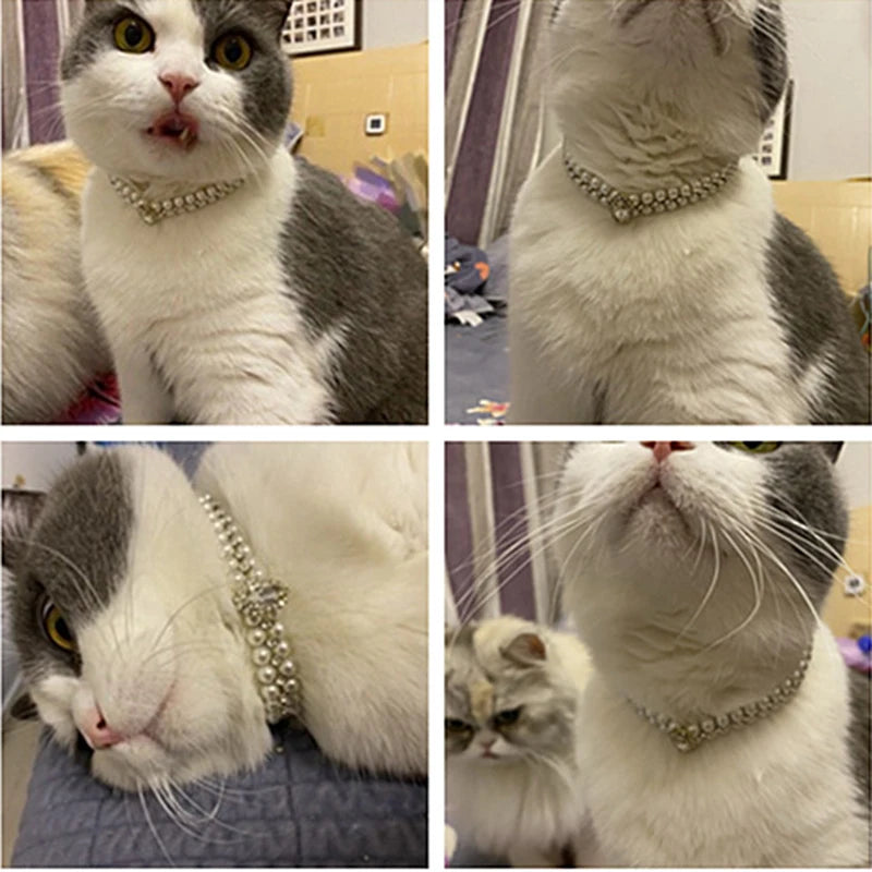 Luxury Pearl Pet Necklace Rhinestone Collar for Cats