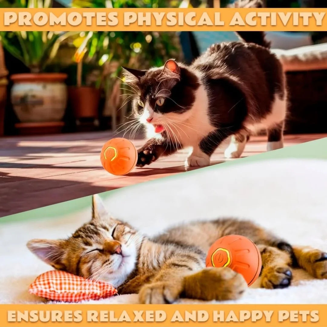 Smart Gravity Bouncing Ball Interactive Toy for Dogs & Cats