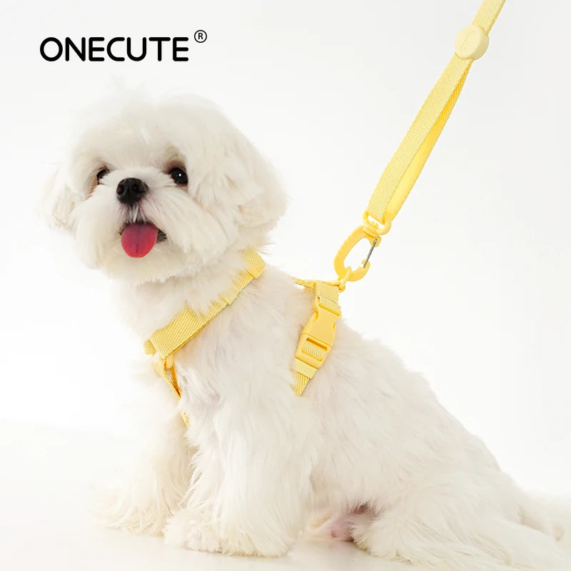 Adjustable Macaron Color Pet Harness And Leash Set