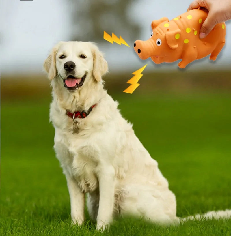 Squeaky Piggy Toy Bite-Resistant Chew Toy for Dogs & Puppies