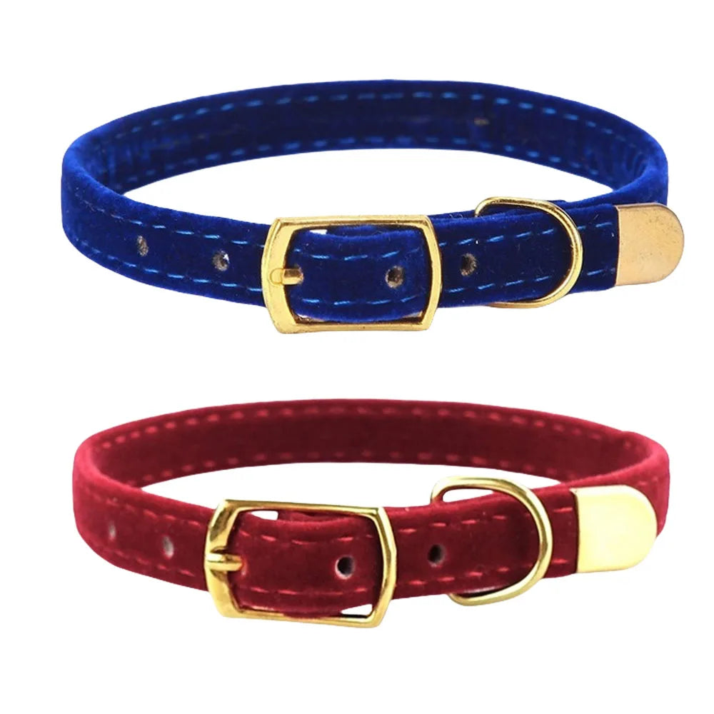 Cat Collar with Bell Safety Collar for Small Dogs & Kittens