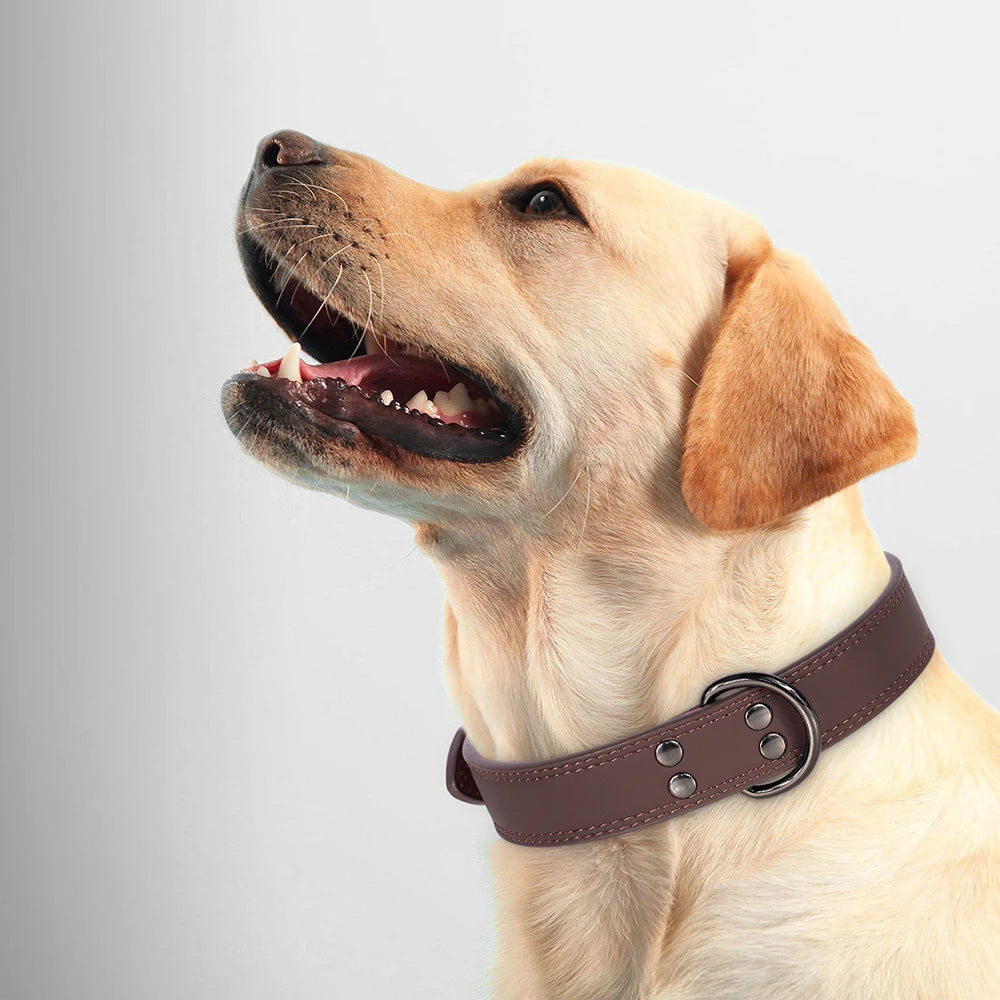 Soft & Durable Real Genuine Leather Dog Collar