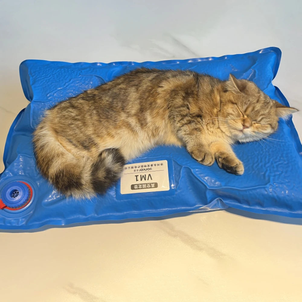 Pet Vacuum Positioning Mat Surgical & Exam Pad for Small Animals
