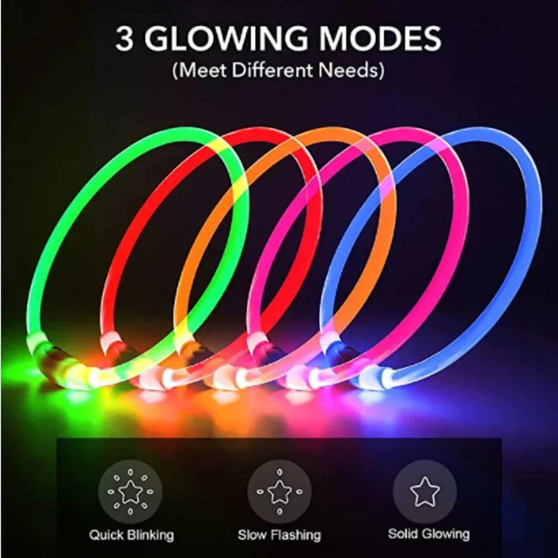 LED Light Dog Collar with Detachable USB Rechargeable Glowing Collar