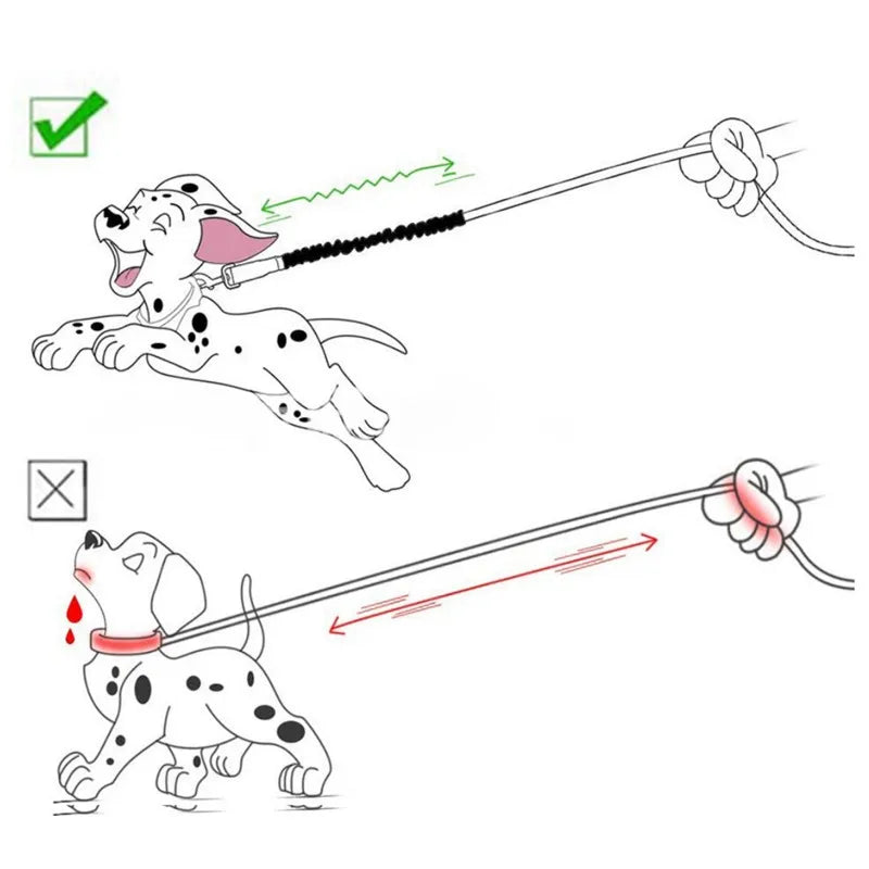 Durable Rope 45cm Elastic Extension Dog Leash