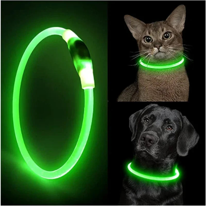LED Light Dog Collar with Detachable USB Rechargeable Glowing Collar