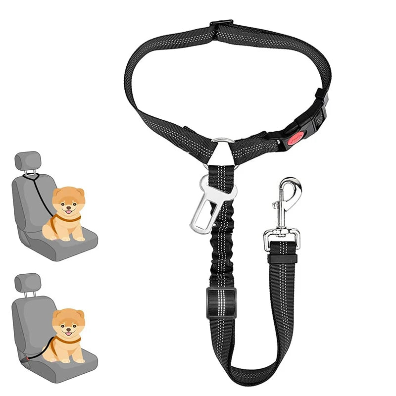 Multi-Functional Dog Leash with Car Safety Buckle