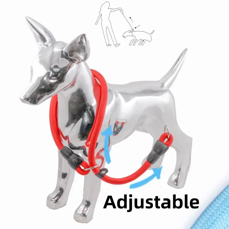 Heavy-Duty Nylon Slip Rope Adjustable P Chain Dog Collar