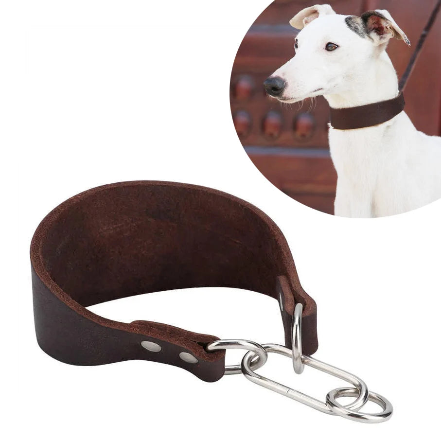 Durable Adjustable Greyhounds and Whippets Wide Leather Dog Collar
