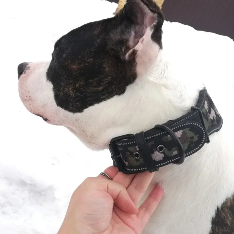 Adjustable Reflective Neoprene Padded Dog Collar