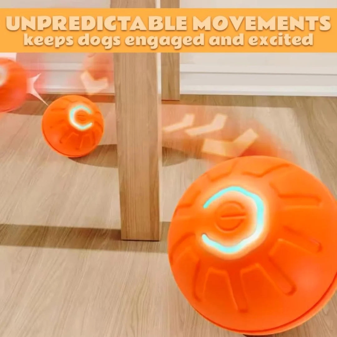 Smart Gravity Bouncing Ball Interactive Toy for Dogs & Cats