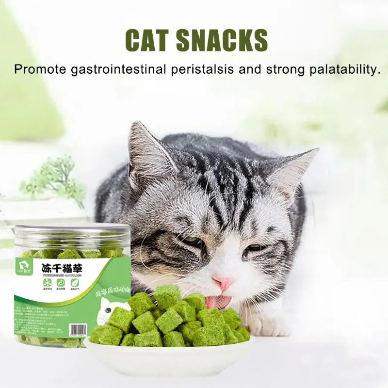 Teething Snacks Freeze-Dried Cat Grass Treats