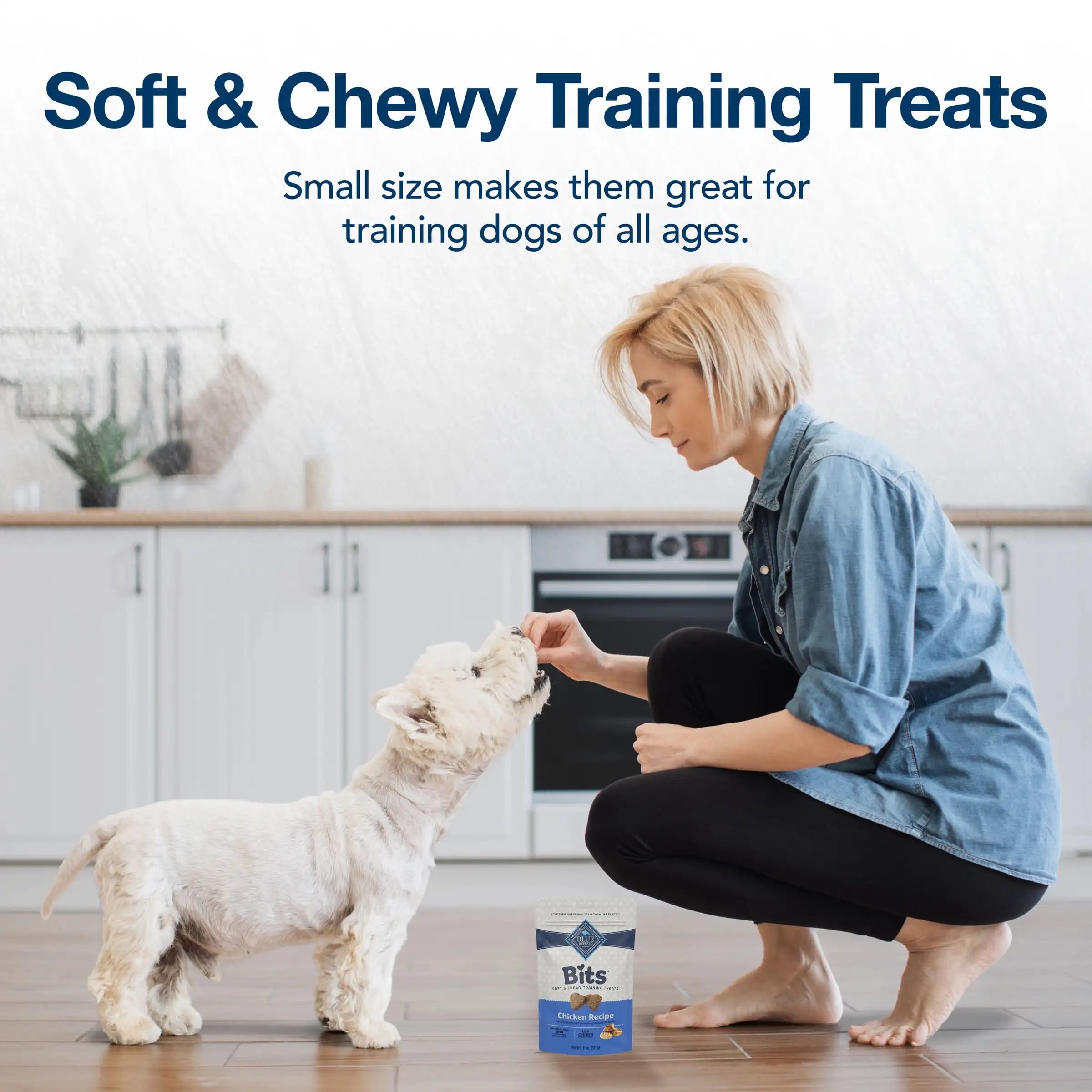 11 oz Bits Soft Dog Training Treats with DHA