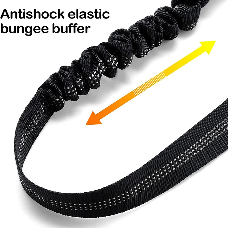 Multi-Functional Dog Leash with Car Safety Buckle