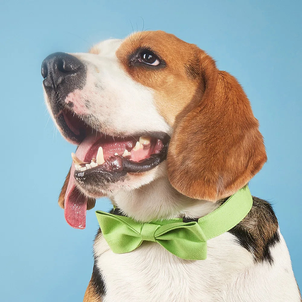 Adjustable Formal Necktie Pet Tuxedo Bow Tie Collar