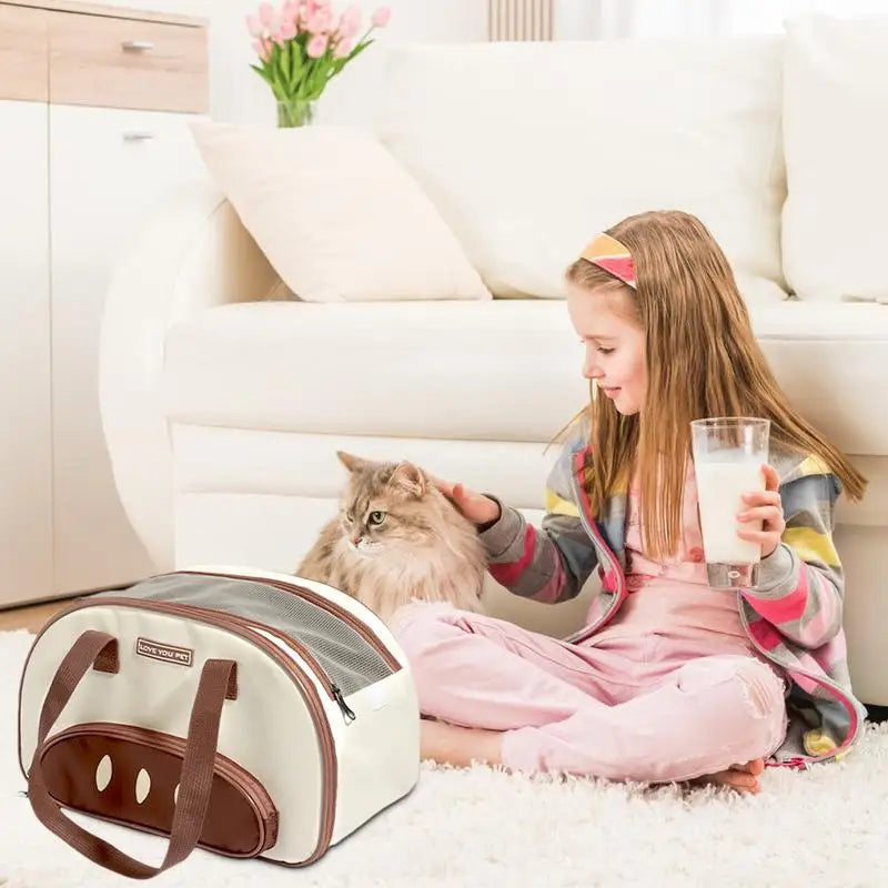 Sturdy Pet Carrier Well-Ventilated Travel Bag for Small & Medium Pets