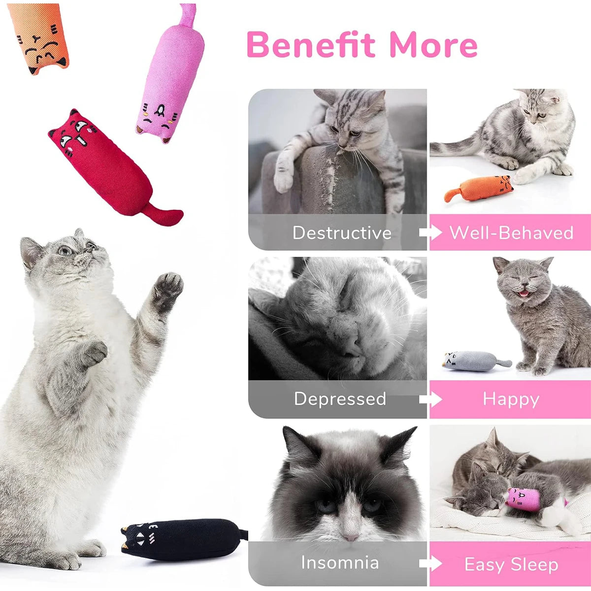 Funny Catnip Chew Toy Interactive Pillow for Kittens & Cats