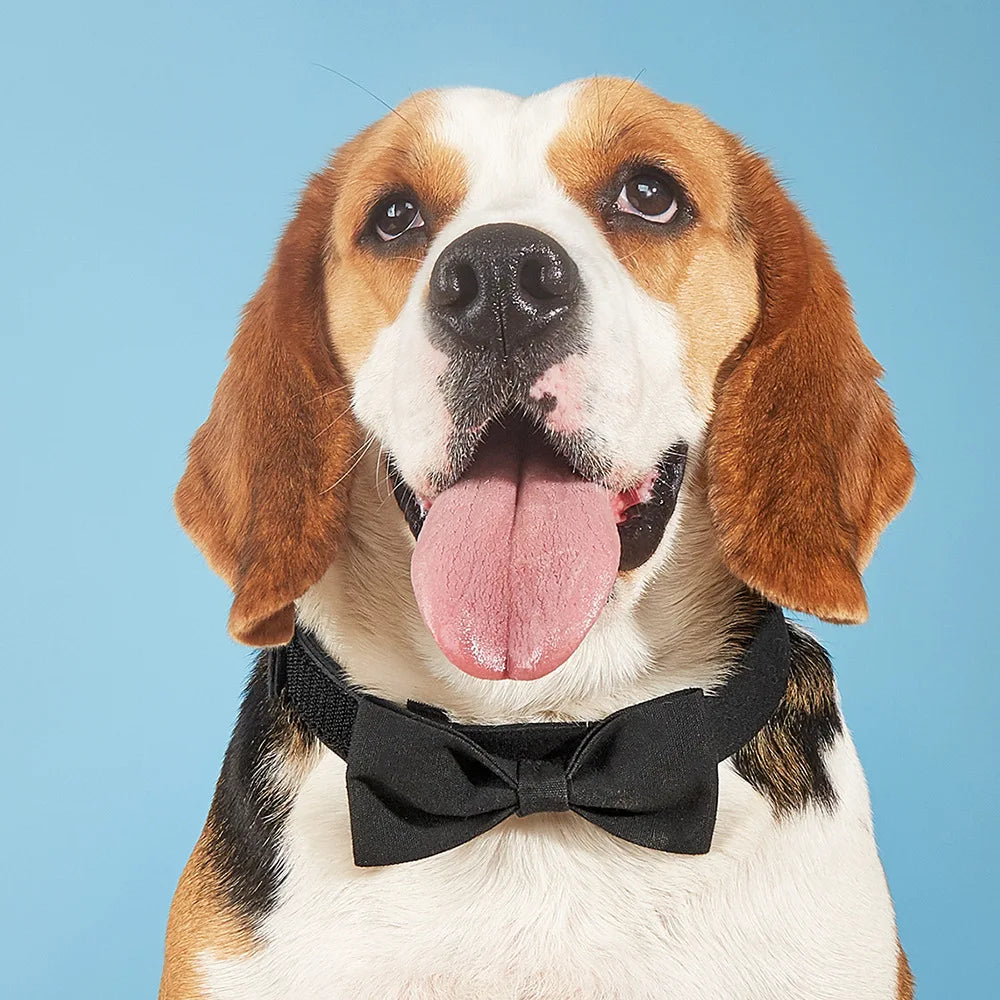 Adjustable Formal Necktie Pet Tuxedo Bow Tie Collar