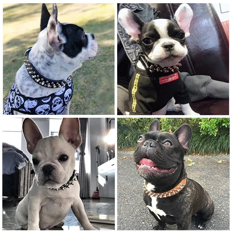 Engraved Pet ID Tag Customized PU Leather Dog Collar