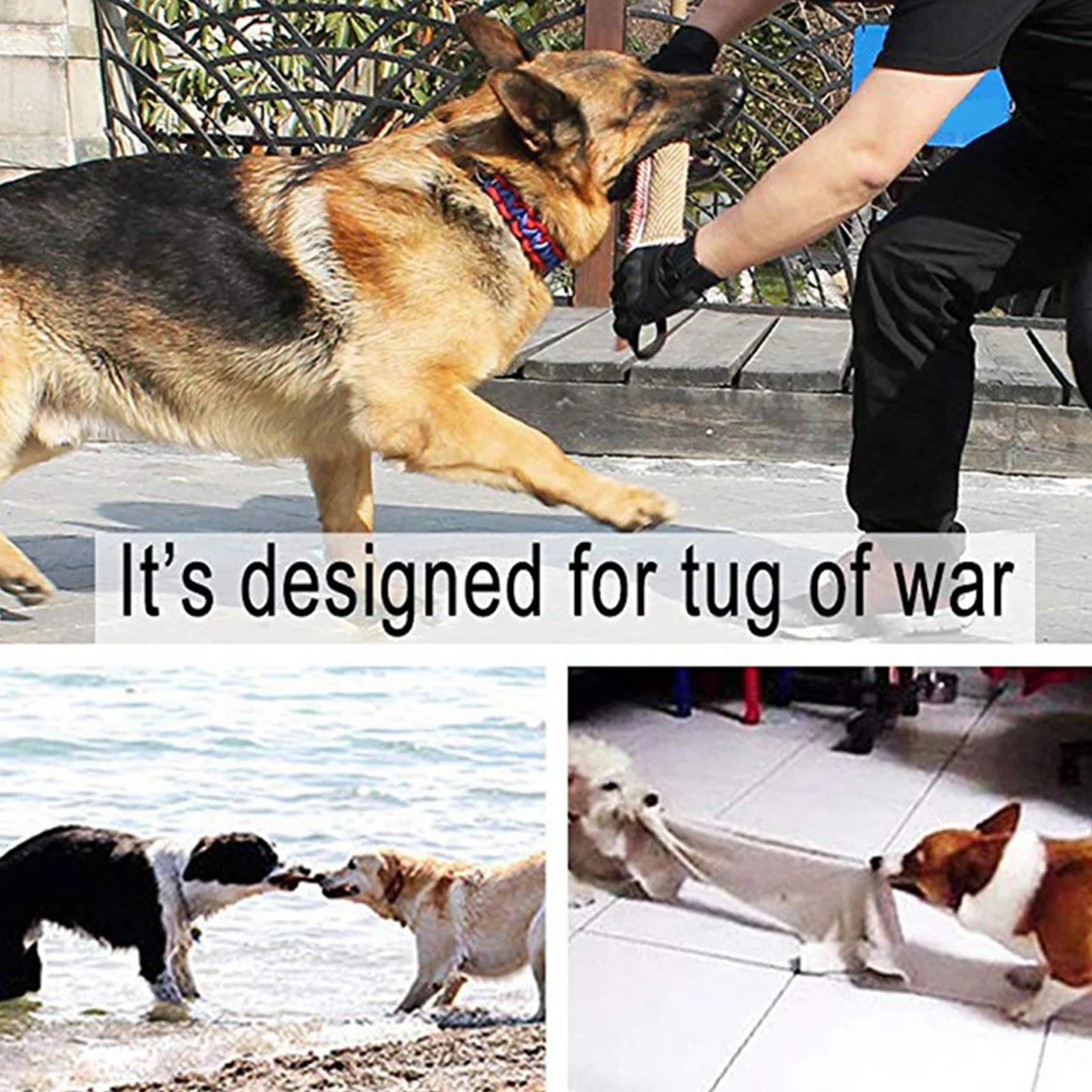 Pet Dog Tug Toy Chew Pillow & Rope for Teeth Cleaning & Training