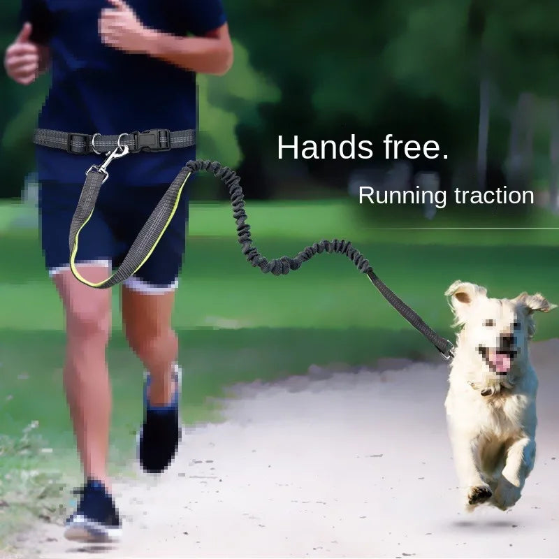 Hands-Free Adjustable Dog Leash with Waist Belt and Chest Strap