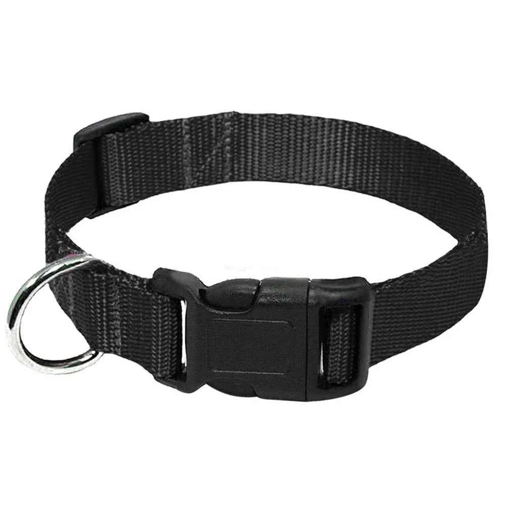 Adjustable Durable Nylon Pet Collar with D-Ring