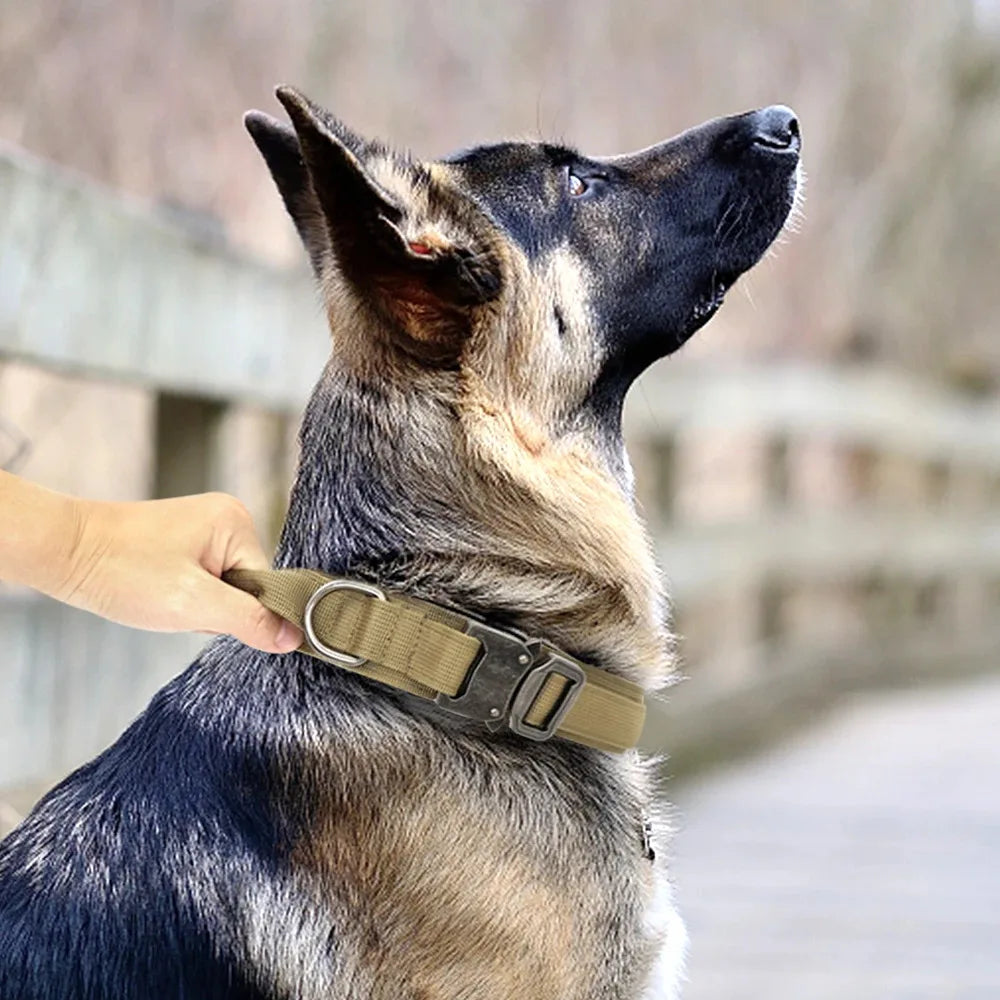 Durable Military Adjustable Tactical Dog Collar